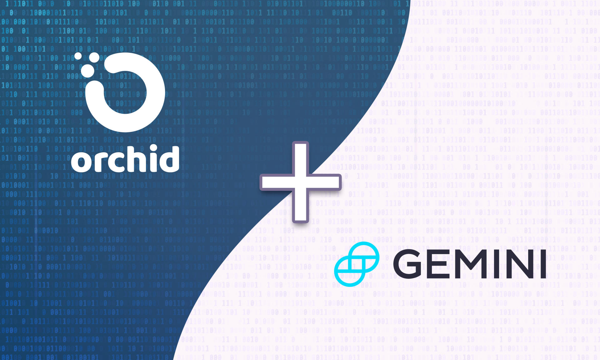 Orchid Continues Global Expansion With Gemini OXT Listing Coming Soon