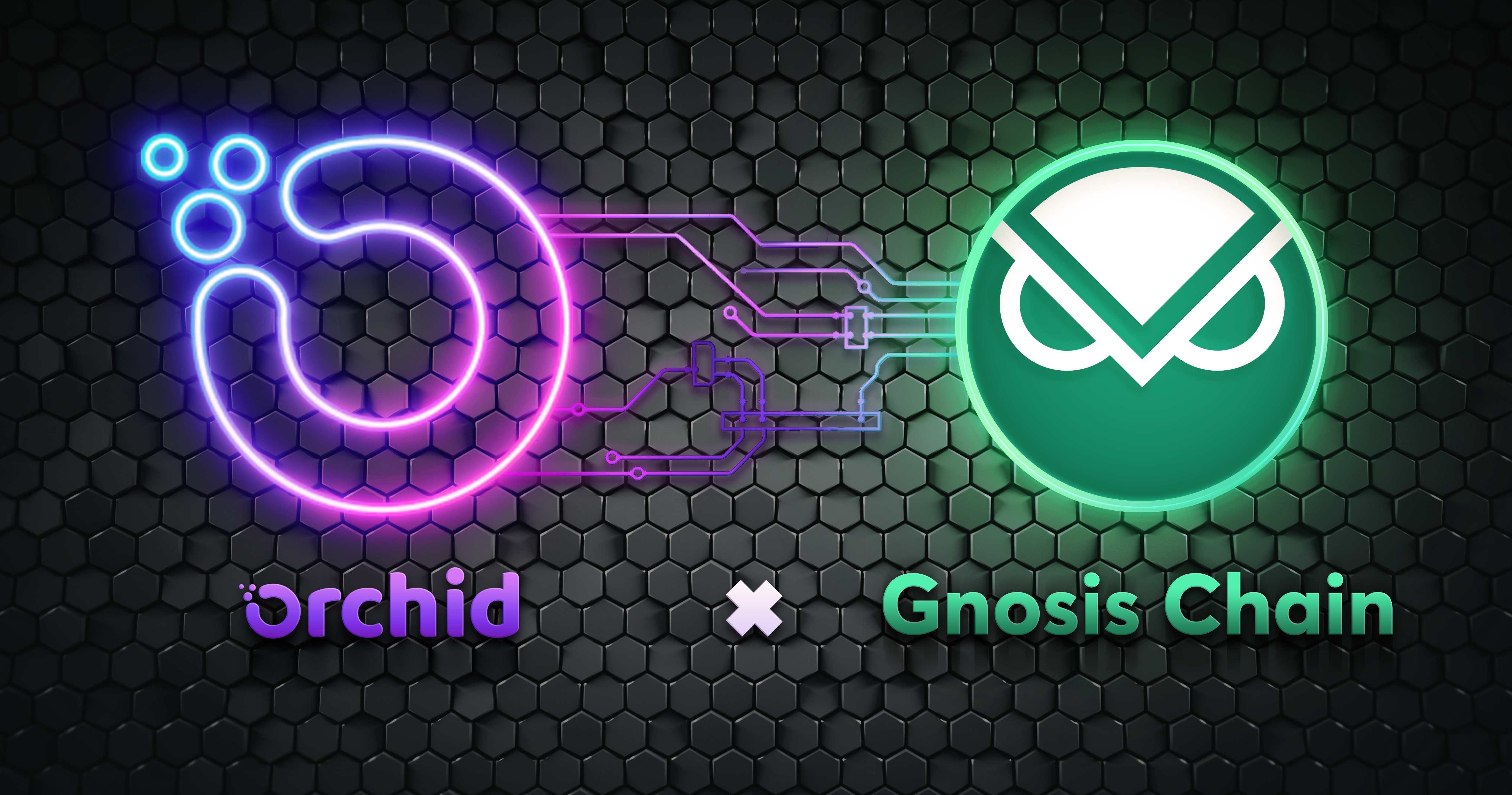 Welcome to Orchid, Gnosis Frens!