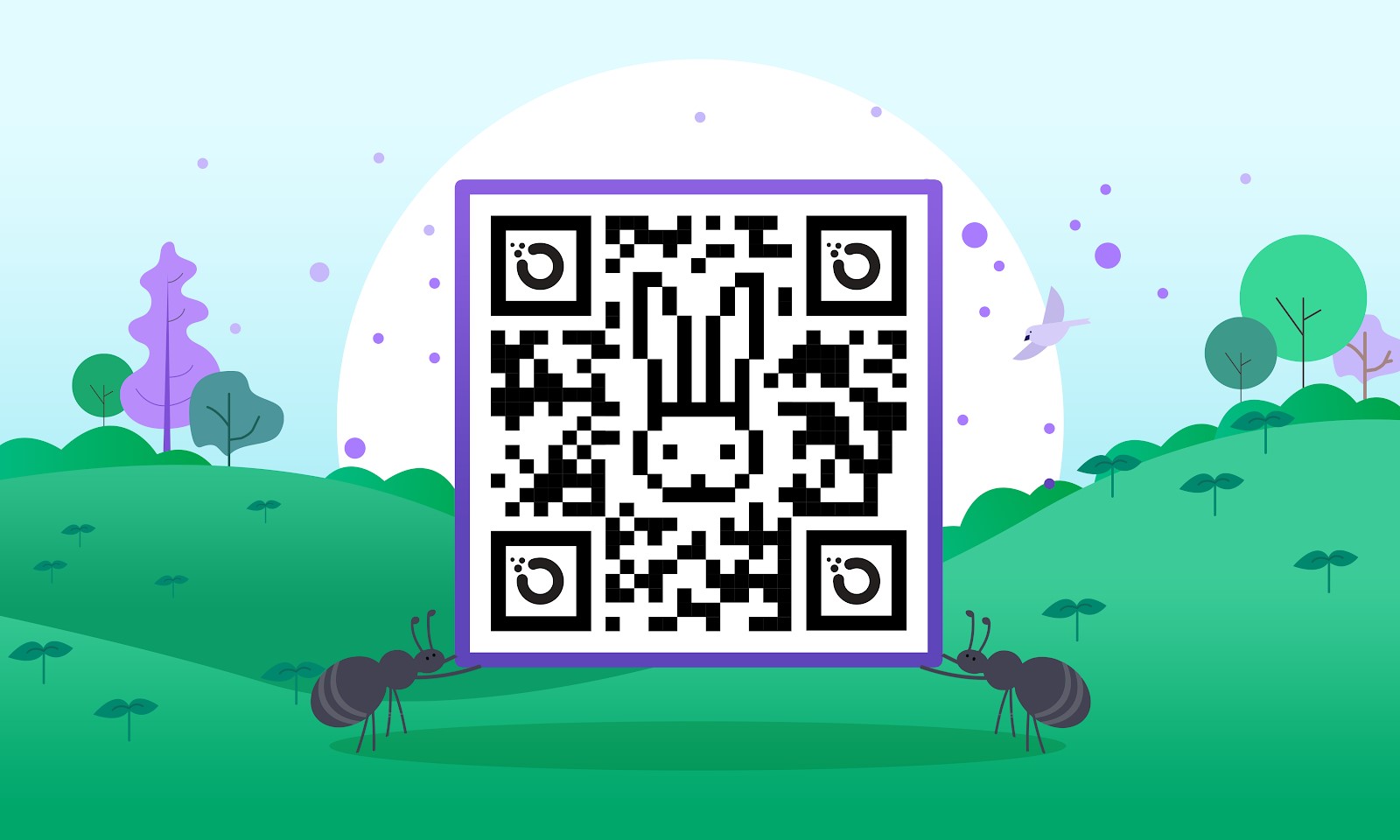 Get hopping faster: Making privacy easier with QR codes